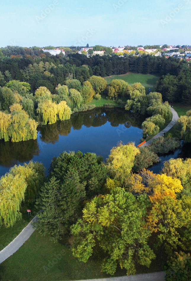 Luftaufnahme eines Parks mit einem zentralen Teich, umgeben von dichten, grünen Bäumen.